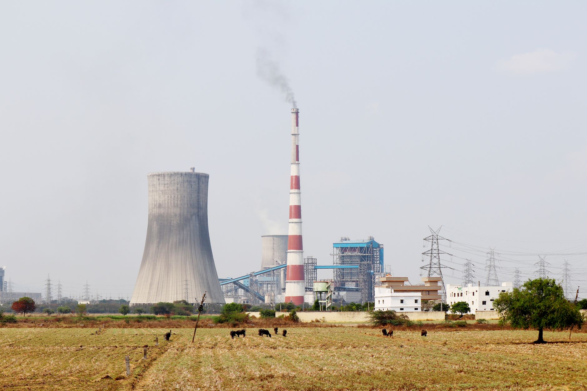 Dallman Power Station Asbestos Exposure & Your Legal Rights