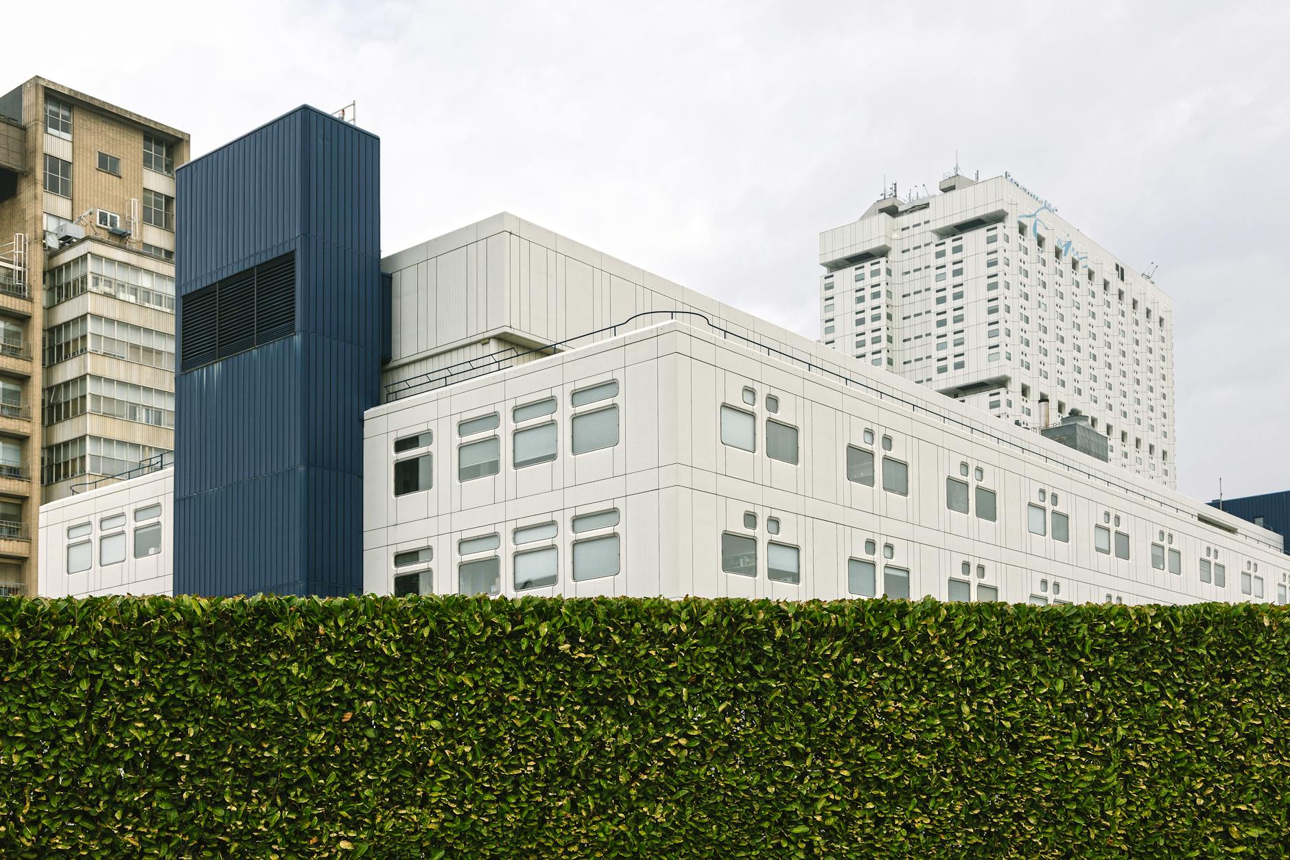 Asbestos Exposure at Shedd Aquarium & Your Legal Rights